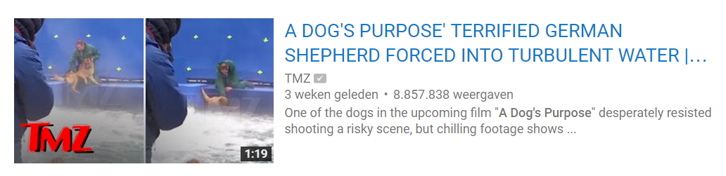 Dog's Purpose TMZ video