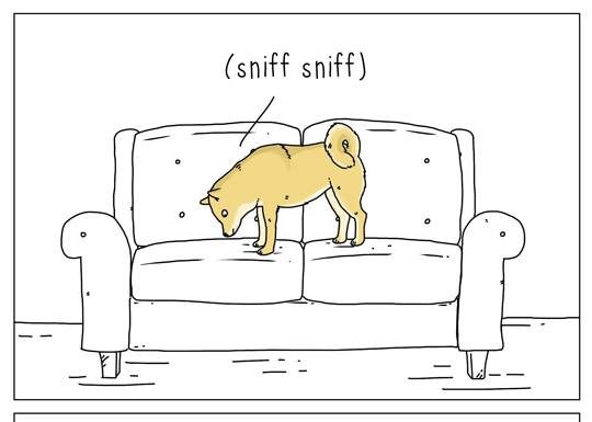 They Can Talk: Comics by Jimmy Craig, an artist who perfectly understands animals