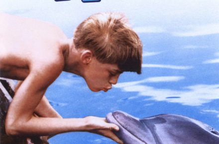 flipper kid licking dolphin