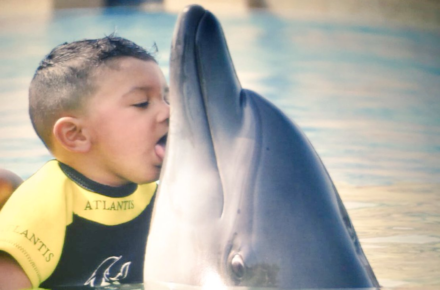 kid licking dolphin