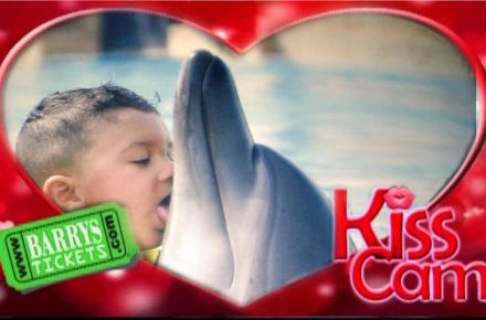 dolphin kid kiss cam