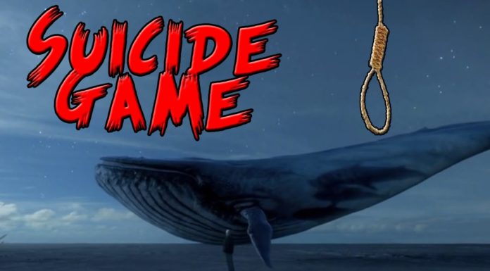 What is the suicidal Blue Whale Game? blue whale game