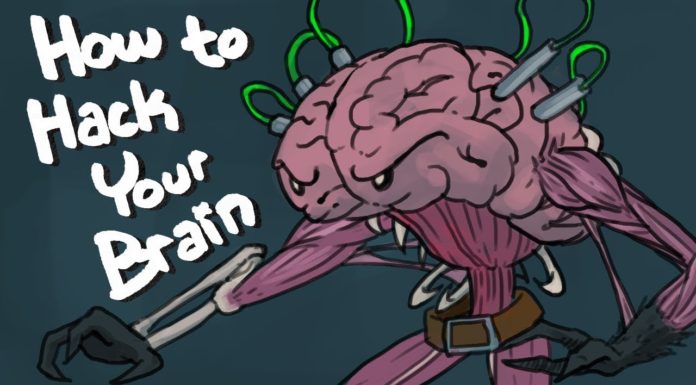 How Natural Nootropics can Hack your Brain