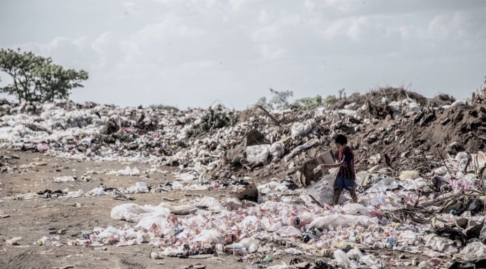 Food Waste – How We’re Destroying Our Planet and Why We Have to Change Food Waste