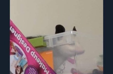 Possum – Millennial Humor Meme